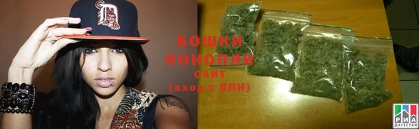 прущие грибы Горнозаводск
