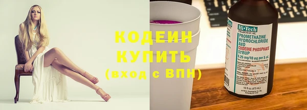 прущие грибы Горнозаводск