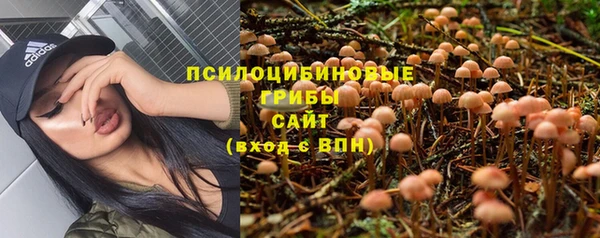 трава Горняк