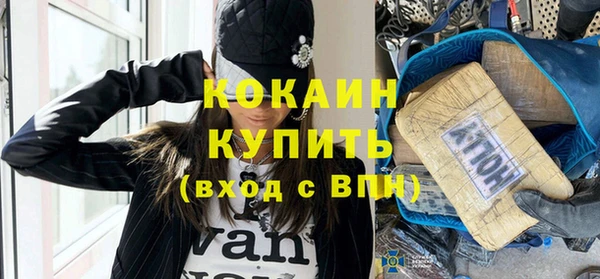 прущие грибы Горнозаводск