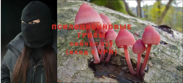 гидропоника Горно-Алтайск