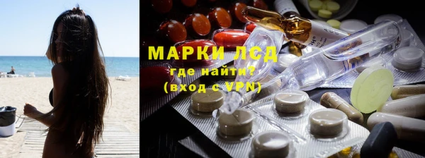 прущие грибы Горнозаводск
