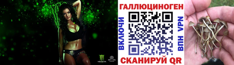 Купить где  Белореченск  Галлюциногенные грибы мухоморы 